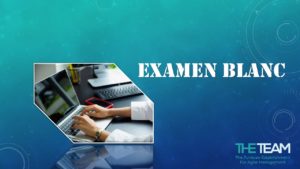 THE TEAM E-learning PMI RMP Exam Prep Practice Test Questions PMP RMP ACP PSM PSPO CSM ECBA MBA