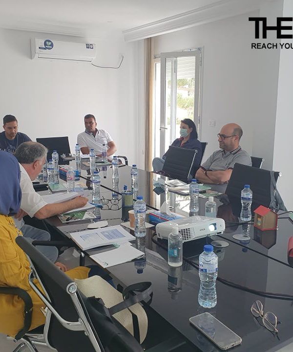 the team formation pmp 2021 (19)
