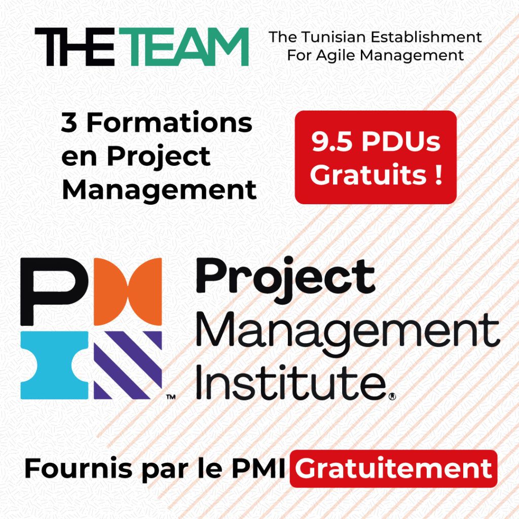 Formation project management PMI
