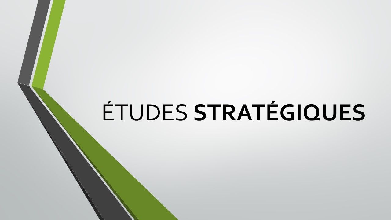 THE TEAM  Consulting - études stratégiques