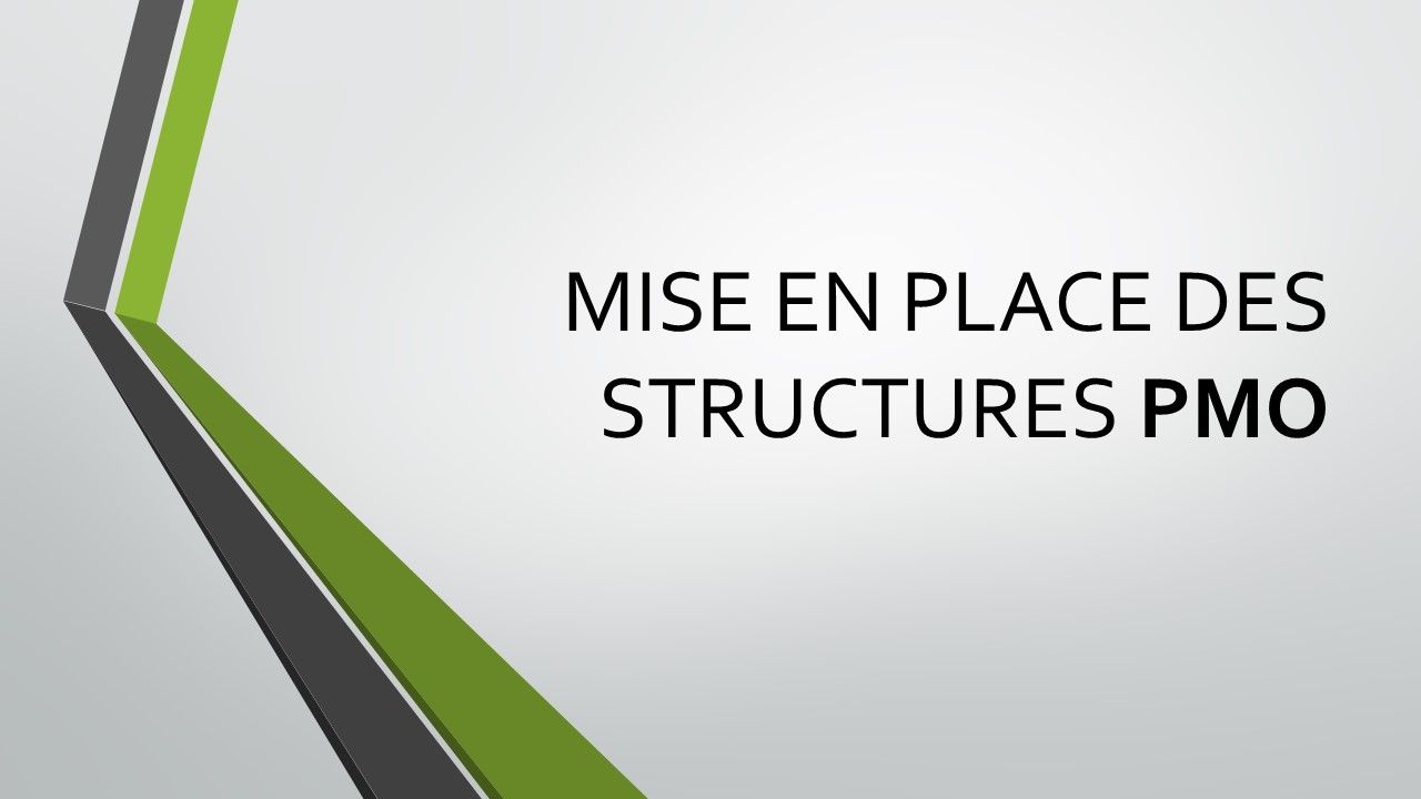 THE TEAM  Consulting - Mise en place des structures PMO