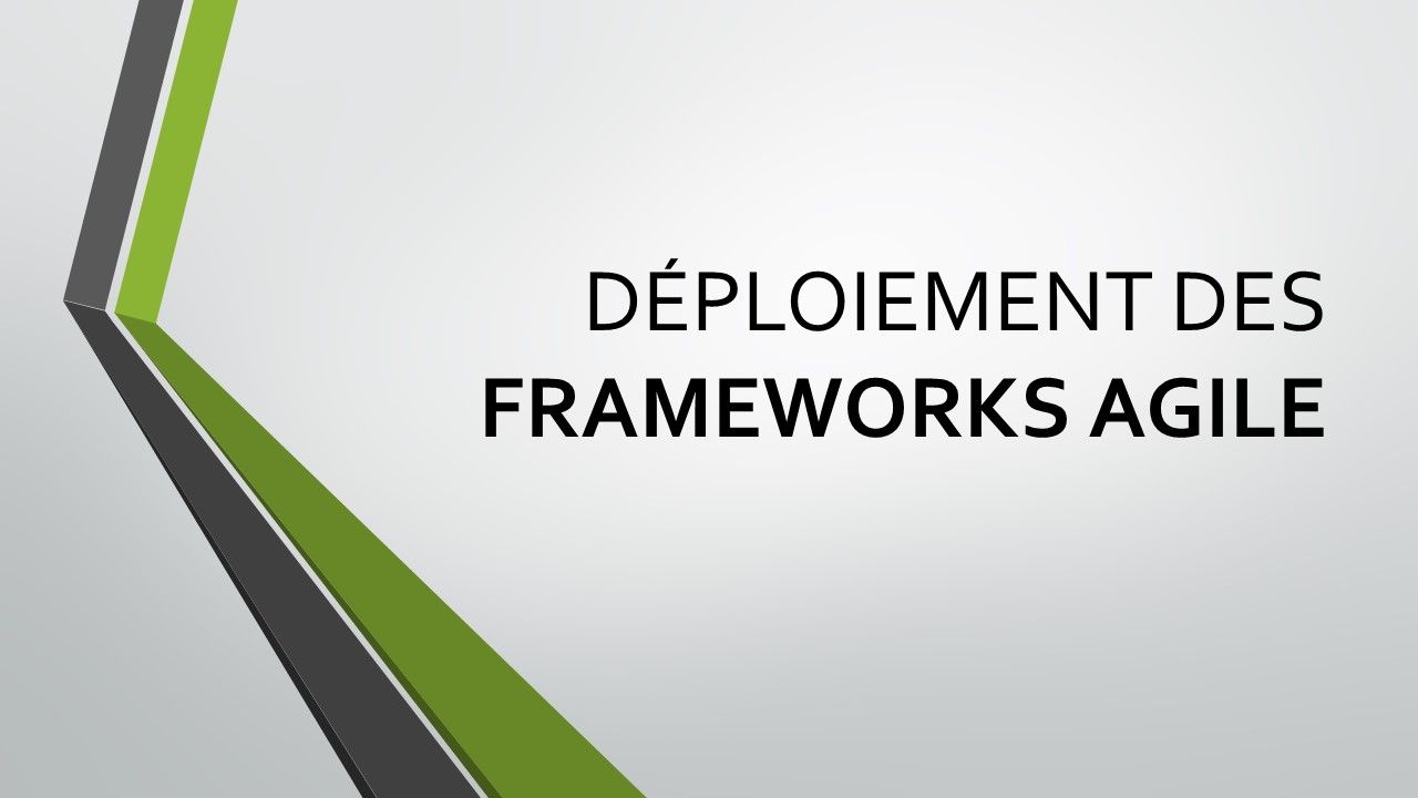 THE TEAM  Consulting - Deploiement des frameworks agile