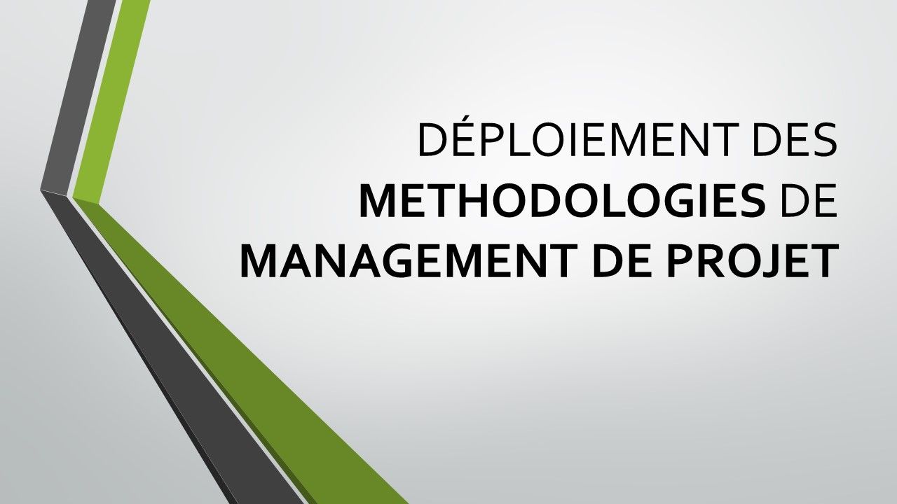 THE TEAM  Consulting - Déploiement des méthodologies de management de projet
