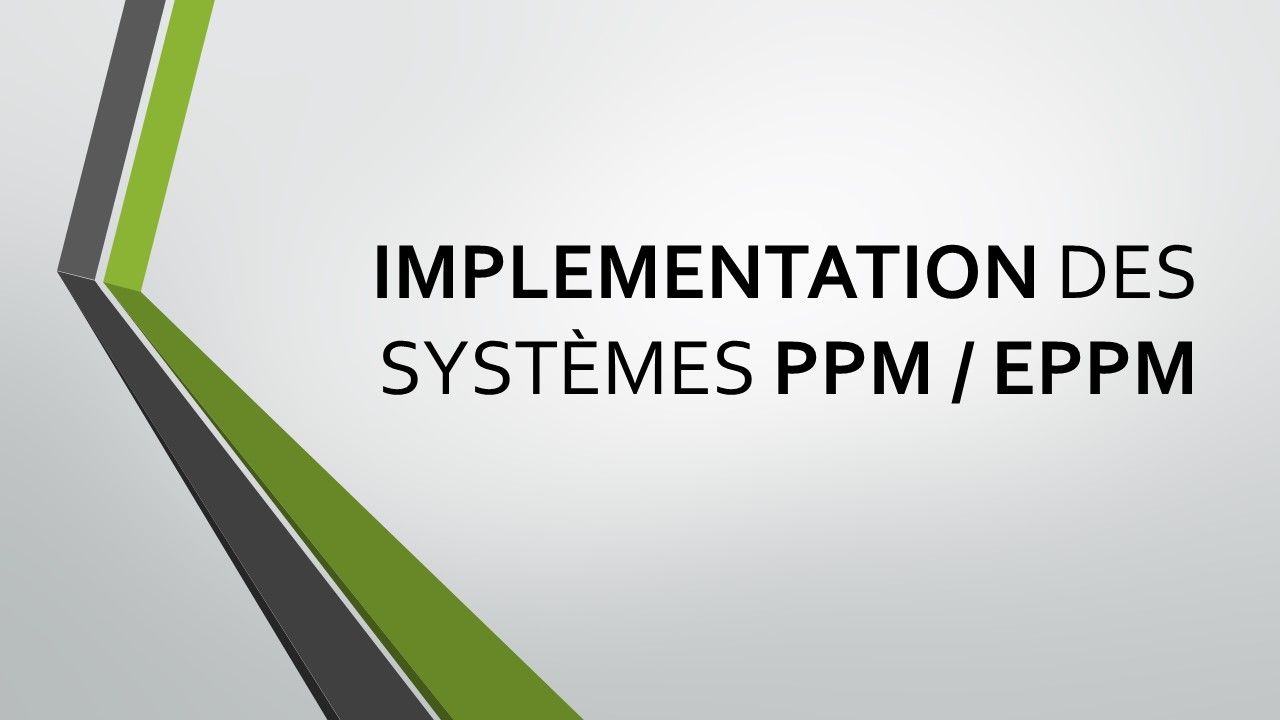THE TEAM  Consulting - Mise en place des systèmes PPM / EPPM